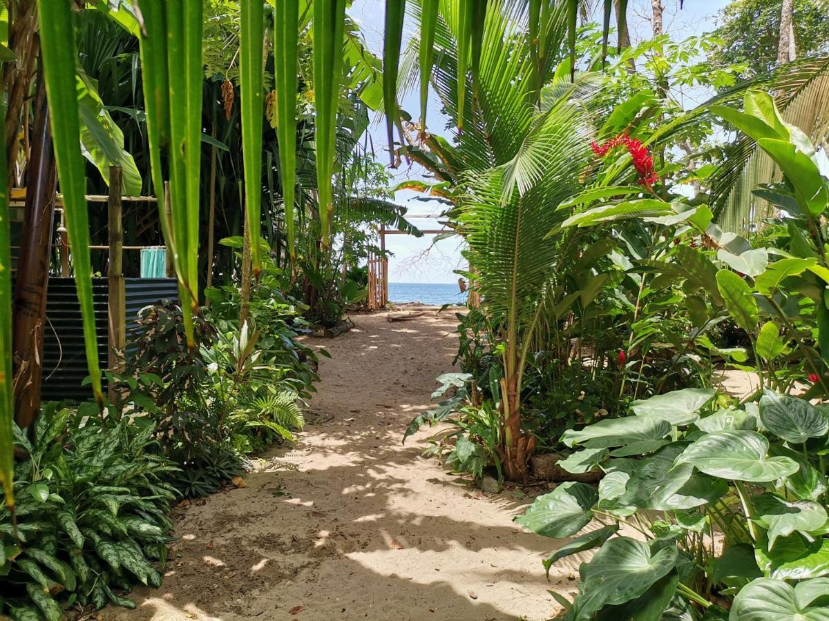 Oasis Hostel Puerto Viejo de Talamanca Exterior photo